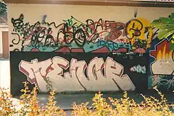 Along with early hip hop culture like 1989's Straight Outta Compton, graffiti became more mainstream in the 1980s.