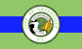 Flag of Greenville