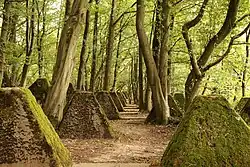The hiking trail "Höckerlinienpfad" at the Orscholz Switch leads through a tank barrier from the Second World War.