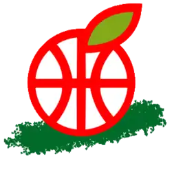 Hapoel Gilboa Galil logo