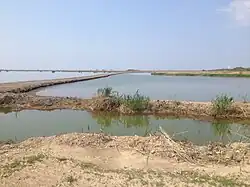 Dike, Hart-Miller Island State Park