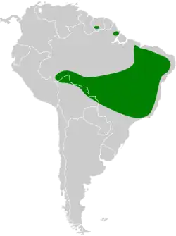 Map of South America showing the range of the species