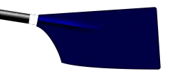 Image showing the rowing club's blade colours