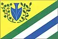 Flag of Hlubyně