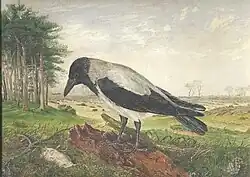 Watercolour painting