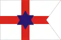House flag of the Cork Steamship Company (dissolved 1918)