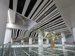 Huangmugang Comprehensive Transportation Hub integrated art installation - Everything Grows
