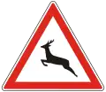 A-024 Deer ahead