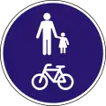 D-027 Shared pedestrian and cycle path (no separation)