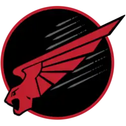 Current emblem of 116 Squadron "Lions Of The South"