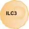 Graphic of an ILC3 cell