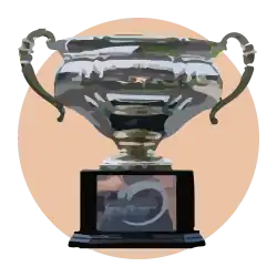 Illustration of the trophy of the Belgian Supercup.