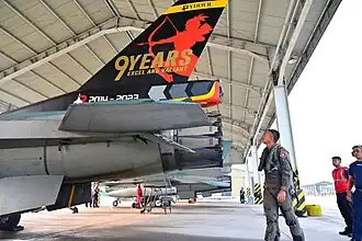 Close up of the 9th Anniversary tail art