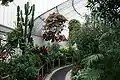 Inside the Botanic Gardens Palm House.