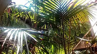 Interior courtyard of the Casa Quintana in 2012.