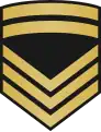 Ard-mhion-oifigeach Irish Naval Service[9]