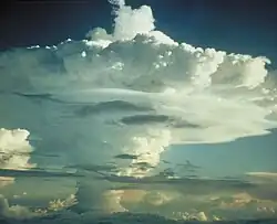 Mike mushroom cloud central stem's updraft tropopause overshoots.