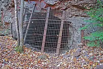 Cover over drift near North Jackson Pit No. 1, 2010