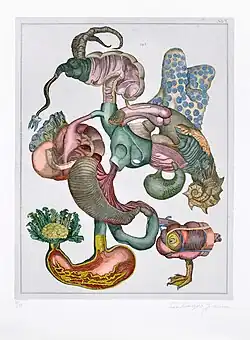 Natural Science, Tab. 7 (1973), etching