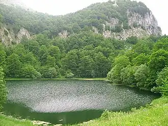 A rippling lake surrounded by forestry