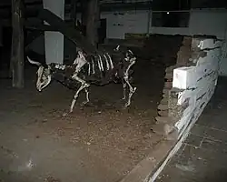 The Power of Silence, industrial space Světovar, Plzeň 2012