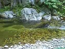 at Berzen, Kardzhali