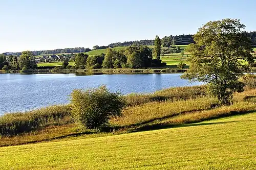 oberer (upper) Katzensee, Zürich-Affoltern in the background (April 2009)