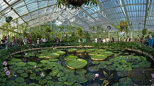 Waterlily House at Kew Gardens at Royal Botanic Gardens, Kew, by Diliff