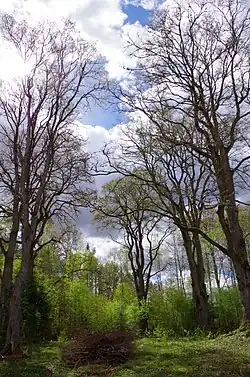 Kiigeoru Hiiesalu wildlife sanctuary