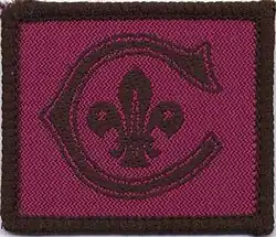 Cornwell Scout Badge