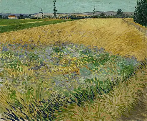 Wheat Field also Wheat Field with Alpilles Foothills in the Background, June 1888, Van Gogh Museum, Amsterdam, Netherlands (F411)