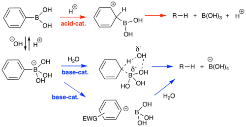 Acid and base catalyzed protodeboronation