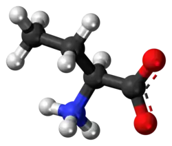 Ball-and-stick model of the α-aminobutanoic acid molecule as a zwitterion
