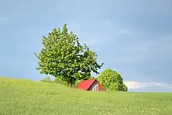 Landscape near Szypliszki