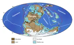 Palaeogeographic map showing Gondwana, Laurussia and Siberia now joined to form the supercontinent of Pangea. North China and South China lay to the northeast separated from Pangea by the Palaeotethys Ocean. Much of the northern hemisphere is covered by the Panthalassic Ocean.