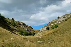 View of the upper dale