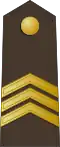 Seržants (Latvian Land Forces)[68]