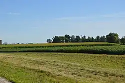 Farm fields east of Port Jefferson