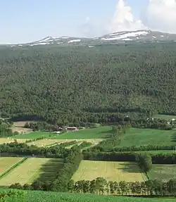 Windbreaks in Lesja Municipality, Norway, also used to collect snow in a dry area.