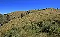 Upland pasture in Lincoln National Forest, southern New Mexico, US