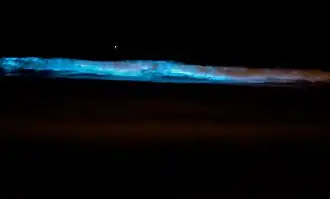 L. polyedra in the surf off Solana Beach, California on 25 September 2011. (Exposure: 3 sec / f4 / ISO 3200 / f 210 mm)