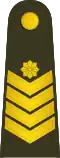 Seržantas majoras (Lithuanian Land Force)[28]