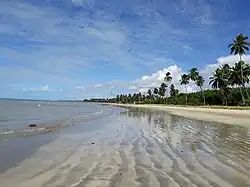 Beach in Paripueira