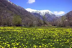 Spring landscape of the Cerdanya in Llívia.