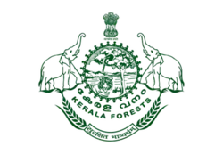 image has rationale=yes