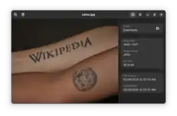 alt=A screenshot of Loupe in GNOME 45 displaying a Wikimedia Commons image. On the right side of the window, the file's parent folder, metadata, and creation/modification dates are shown. The image within the program has two arms of differing skin tones, with the lighter having the full-text logo of Wikipedia and the darker with the Wikipedia globe.