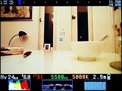 Overlays on the live view screen