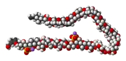 Space-filling model of the maitotoxin molecule