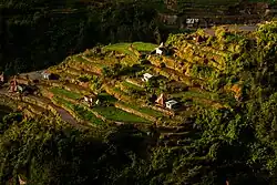 Mayoyao Rice Terraces