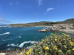 Northward view of Spooner's Cove via Bluff Trail, with Morro Bay in the distance. June 12, 2021